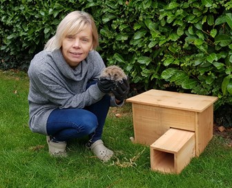 Hedgehog huts to house rescued hedgehogs.
