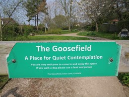 The Goosefield garden in Exton