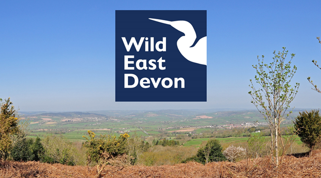 Wild East Devon Coordinate the East Devon Tree Warden Network
