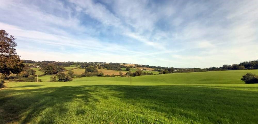 East Devon countryside 