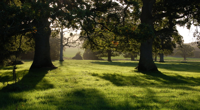 Clyst Valley Regional Park