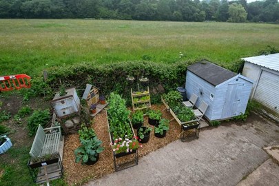 Photo of the community garden.